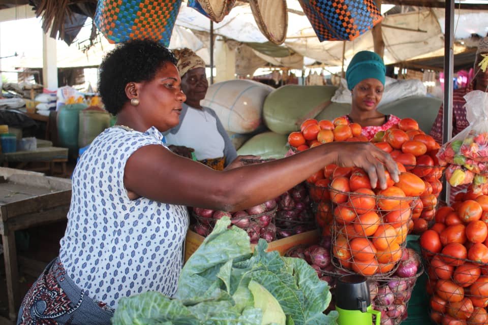 How Kausha Damu Loans Affect Tanzanian Citizens and the Economy