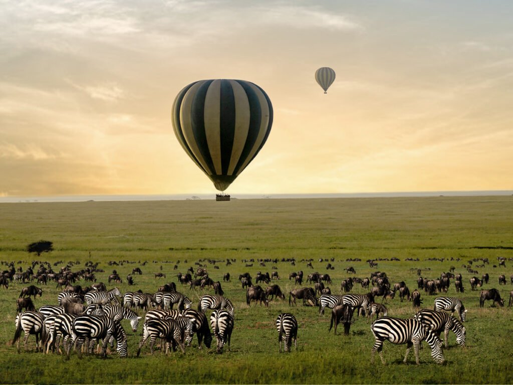 Tourism's Rebound: Aiming for $6 Billion Revenues in 2025