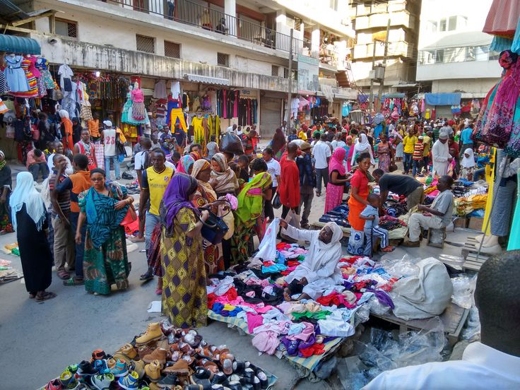 Why and How Governments Control Markets: Lessons from Tanzania