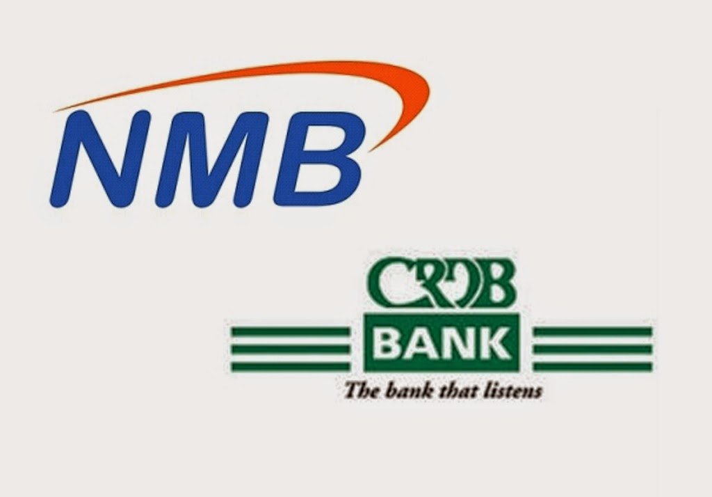 Same Profits, Different Engines: What CRDB and NMB Tell Us About Tanzania's Banking Future